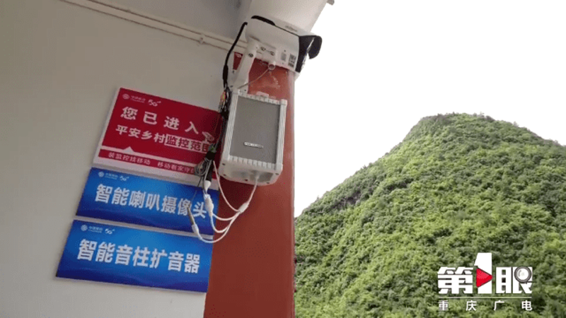 选购网络交换机，打造高效网络环境